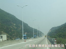 东莞（wǎn）厚大路道路照明工程（chéng）