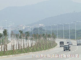 东莞（wǎn）环湖路道路照（zhào）明工程