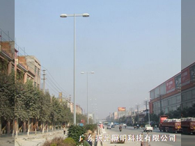 东莞家具大道（dào）景（jǐng）观照明工程